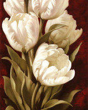 Схема вышивки «Тюльпаны»