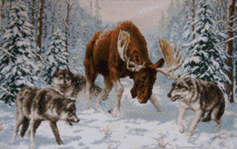 встреча в лесу - предпросмотр