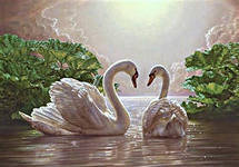 Схема вышивки «лебеди»