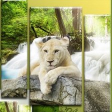 Схема вышивки «киса»