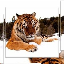 Схема вышивки «тигр»