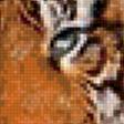 Предпросмотр схемы вышивки «тигр» (№504615)
