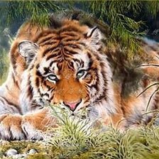 Схема вышивки «тигр»