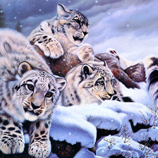 Схема вышивки «Серия "Большие кошки"»