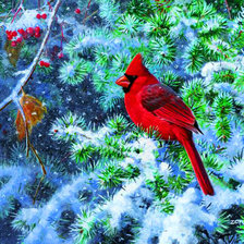 Схема вышивки «Серия "Птицы"»