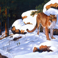 Схема вышивки «Серия "Большие кошки"»