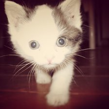 Схема вышивки «Хитоми»