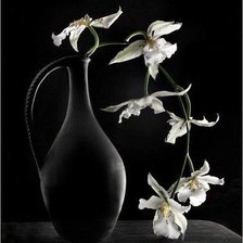 Схема вышивки «Цветы»