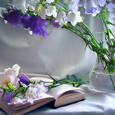 Схема вышивки «№504865»