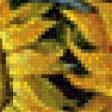 Предпросмотр схемы вышивки «подсолнухи» (№504891)