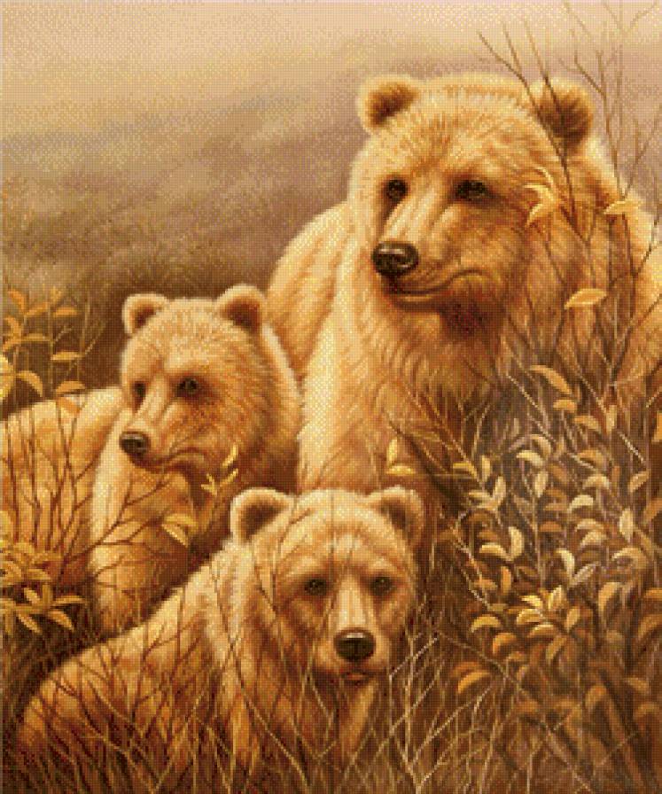 мишки - медведи, животные, хищники - предпросмотр