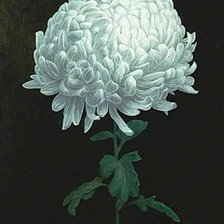 Схема вышивки «№504975»