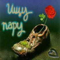 Схема вышивки «Ищу пару»