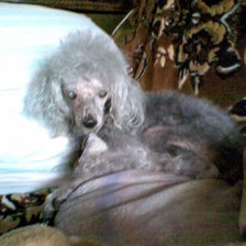 Схема вышивки «Грейси»