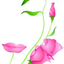 Схема вышивки «Девушка-роза»