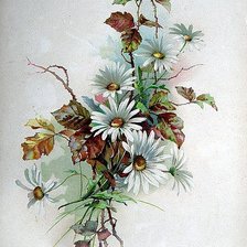 Схема вышивки «№505171»