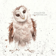 Схема вышивки «Curiouser & Curiouser»