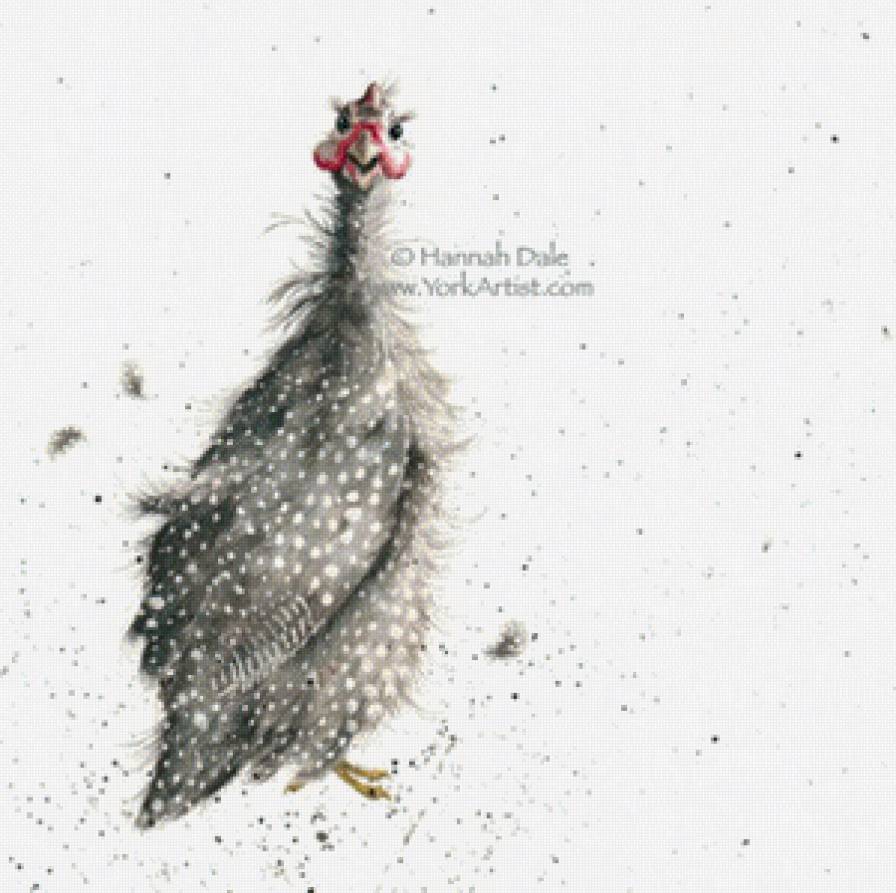 Guinea Fowl - предпросмотр