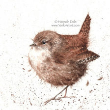 Схема вышивки «Jenny Wren»