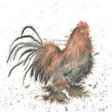 Схема вышивки «King of the Coop»