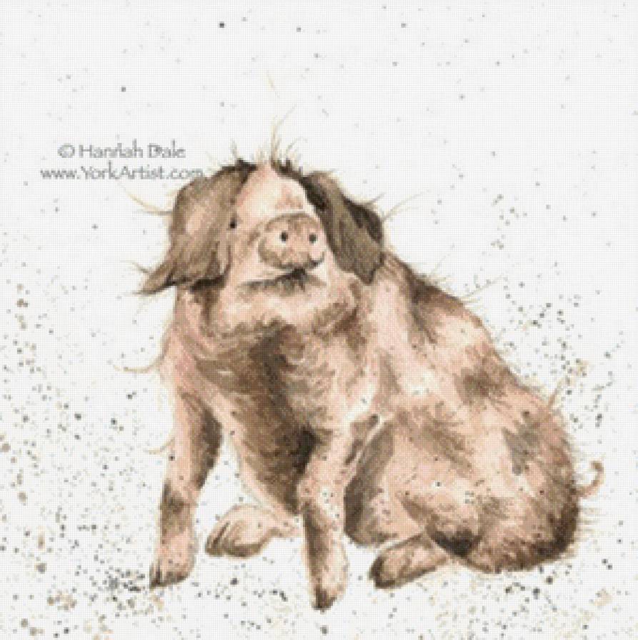 Lady Muck - предпросмотр