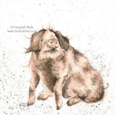 Схема вышивки «Lady Muck»