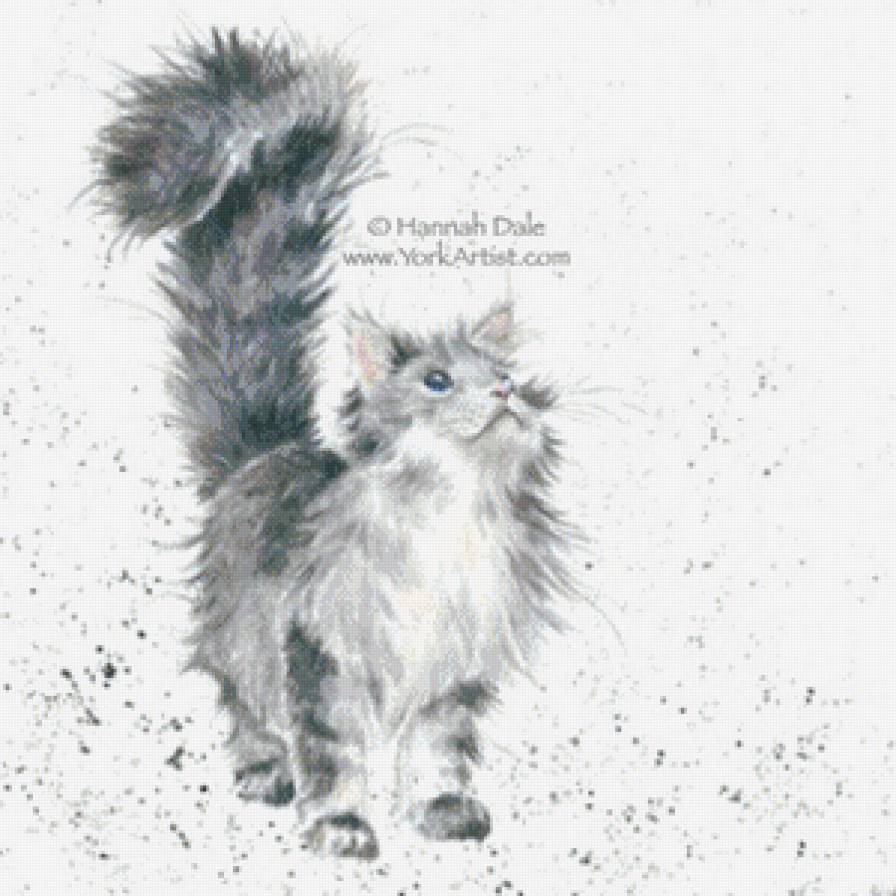 Lady of the House - предпросмотр