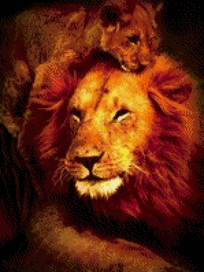 львы - предпросмотр