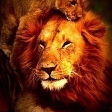 Схема вышивки «львы»