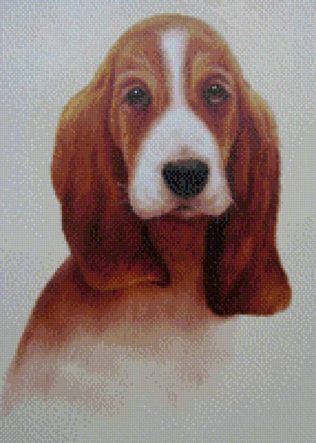 щенок - щенок, собаки - предпросмотр