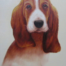 Схема вышивки «щенок»