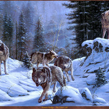 Схема вышивки «Серия "Волки"»