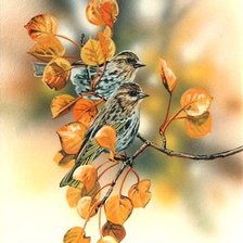 Схема вышивки «Серия "Птицы"»