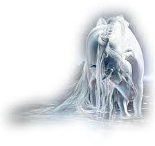 Схема вышивки «красивые лошади (подборка)»