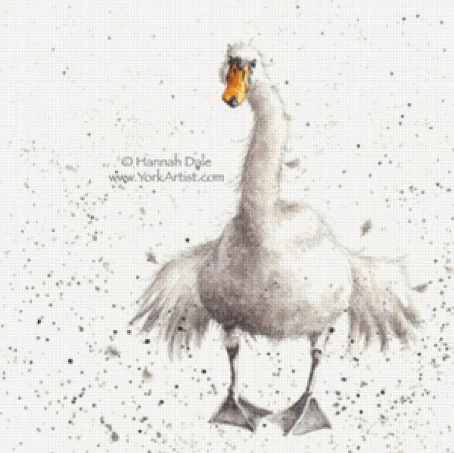 Swan Fine Day - предпросмотр