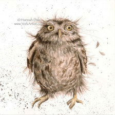 Схема вышивки «What a Hoot»