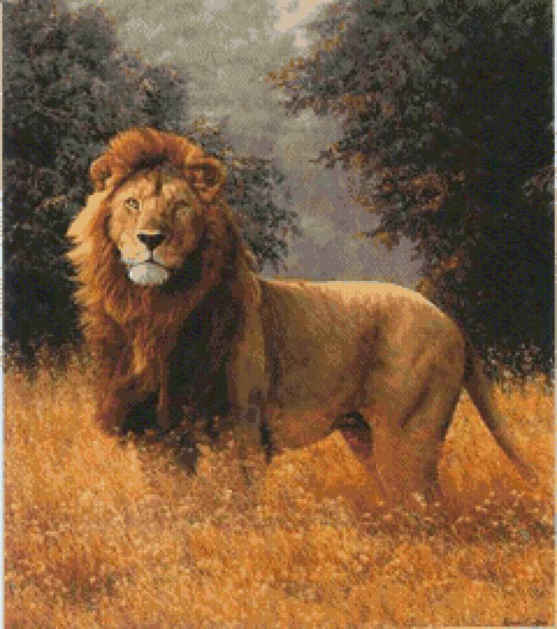цар лъв - предпросмотр