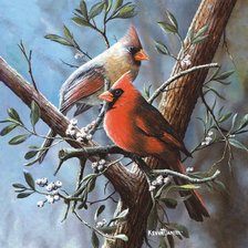 Схема вышивки «Серия "Птицы"»