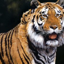 Схема вышивки «Серия "Большие кошки"»