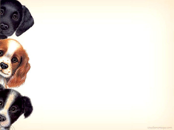 фоторамка - щенки, животные, собаки - оригинал