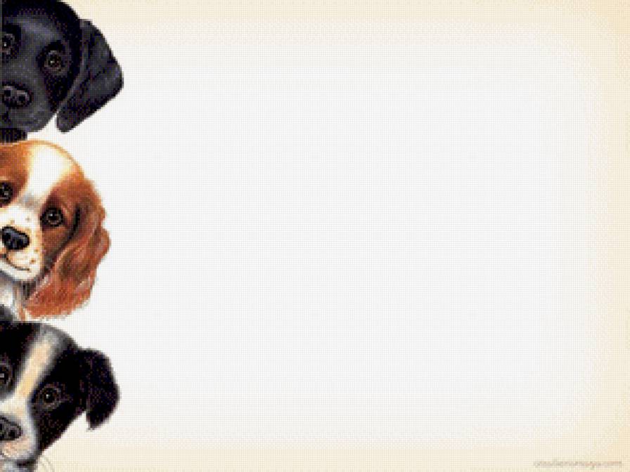 фоторамка - животные, собаки, щенки - предпросмотр