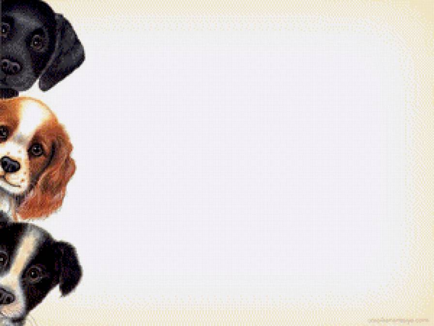 №505778 - предпросмотр