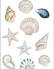 Схема вышивки «раковины»