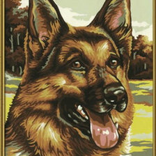 Схема вышивки «Кавказец»