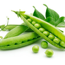 Схема вышивки «горох»