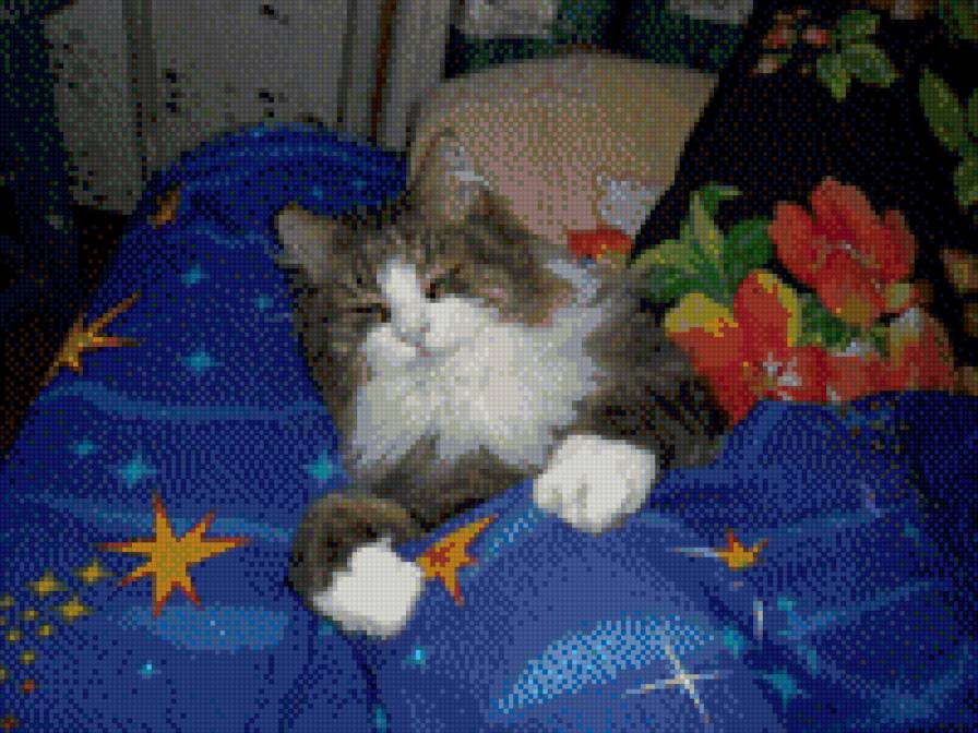 Отдых - кошки - предпросмотр