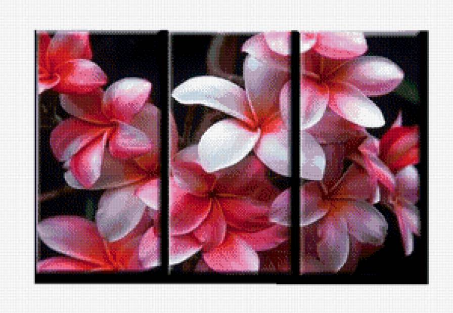 триптих ЦВЕТОк - красота, цветы - предпросмотр