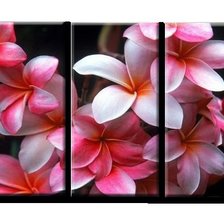 триптих ЦВЕТОк