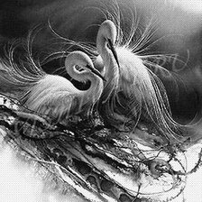 Схема вышивки «ухаживание»