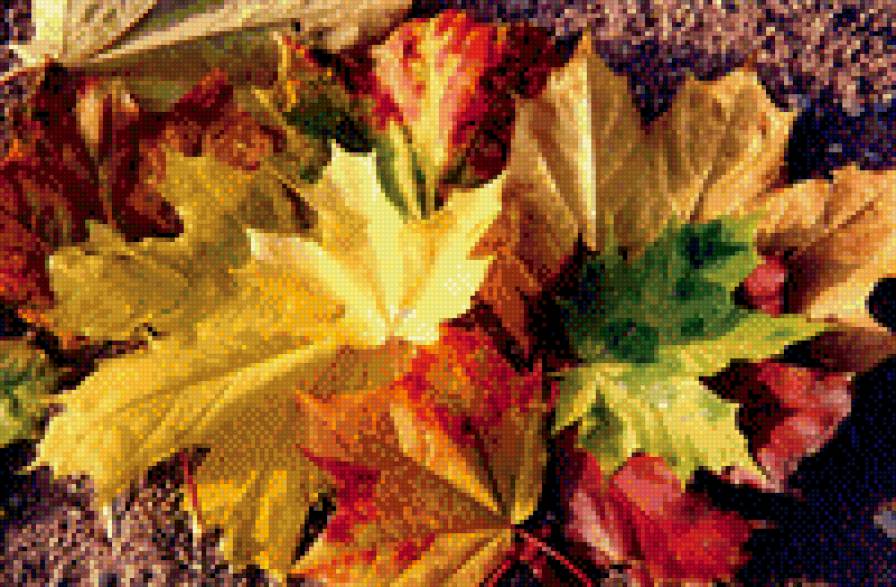 листопад - предпросмотр